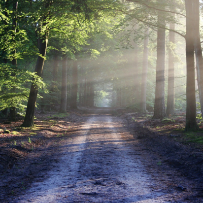 Obrázek epizody Musela jsem zemřít - Anita Moorjani