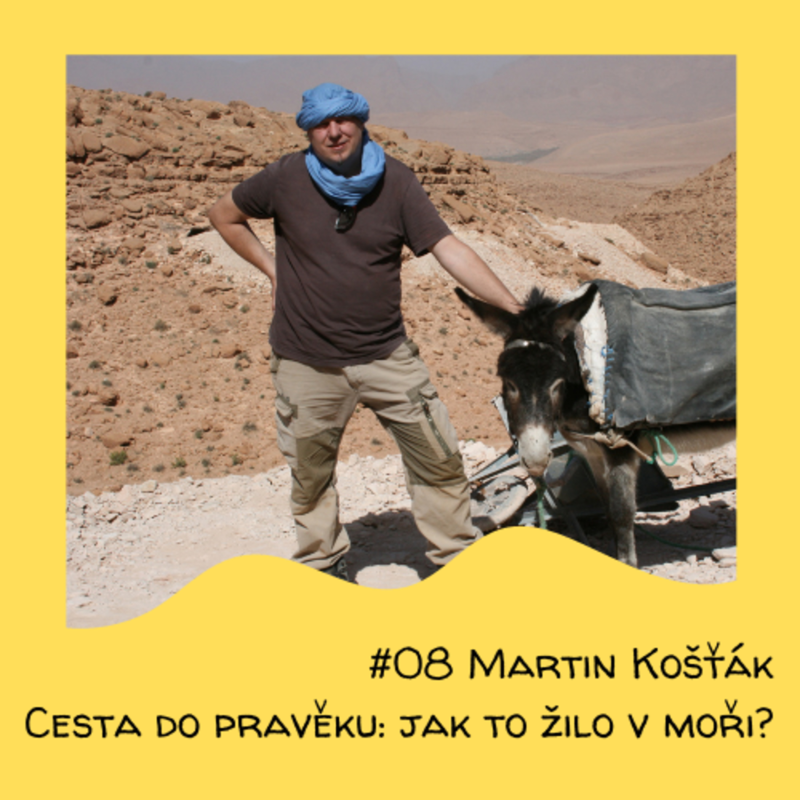 Obrázek epizody #08 Martin Košťák - Cesta do pravěku: jak to žilo v moři?