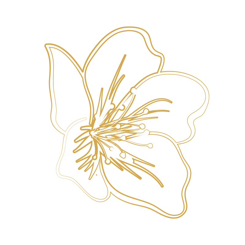 Obrázek epizody Podcast o vykuřovadlech s Rhodou