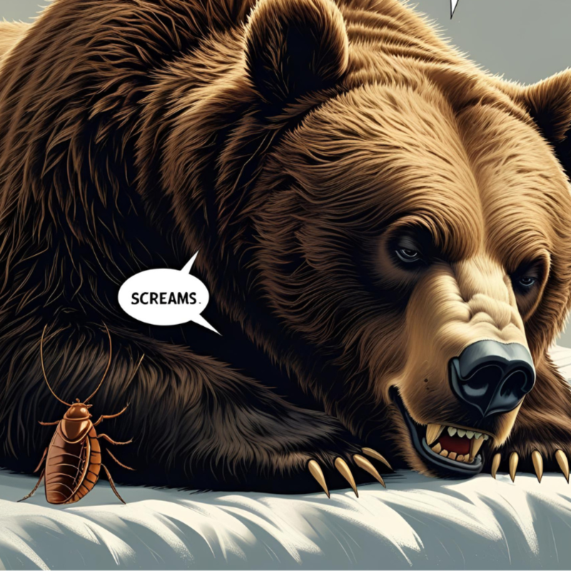 Obrázek epizody #5 Jak bleška medvěda zachránila