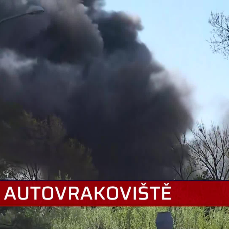 Obrázek epizody Zmizení Navalného lékaře