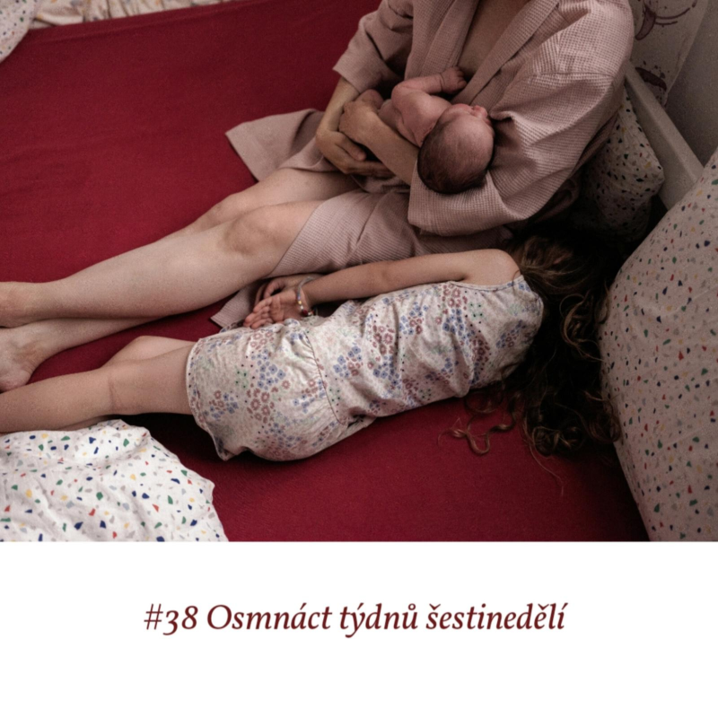 Obrázek epizody #38 Osmnáct týdnů šestinedělí
