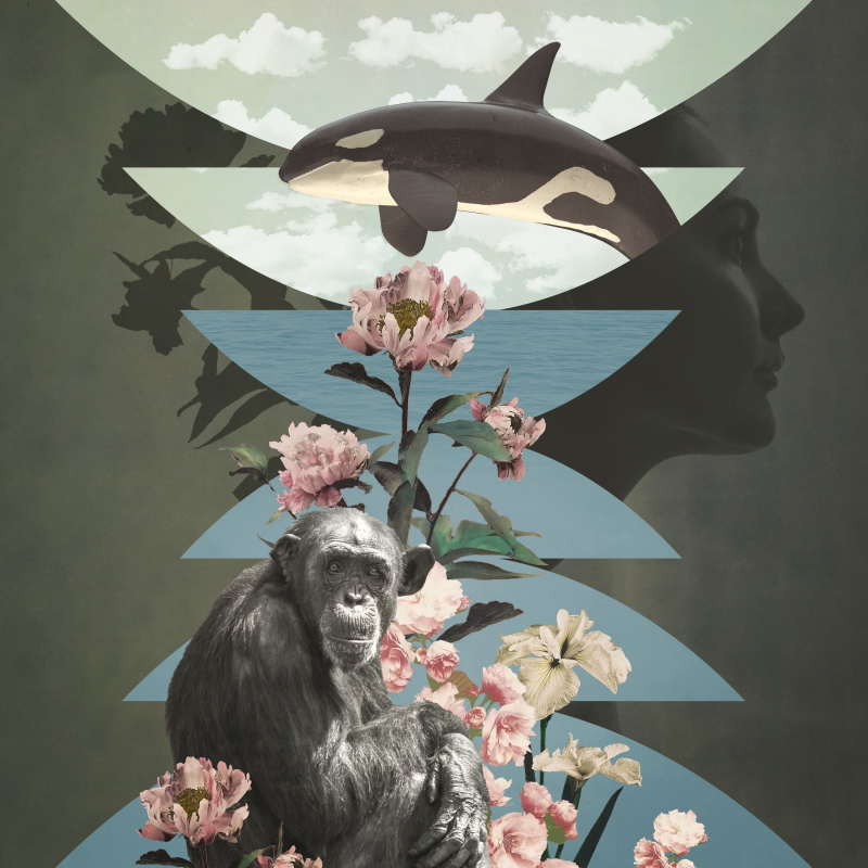 Obrázek epizody The Menopause Mystery