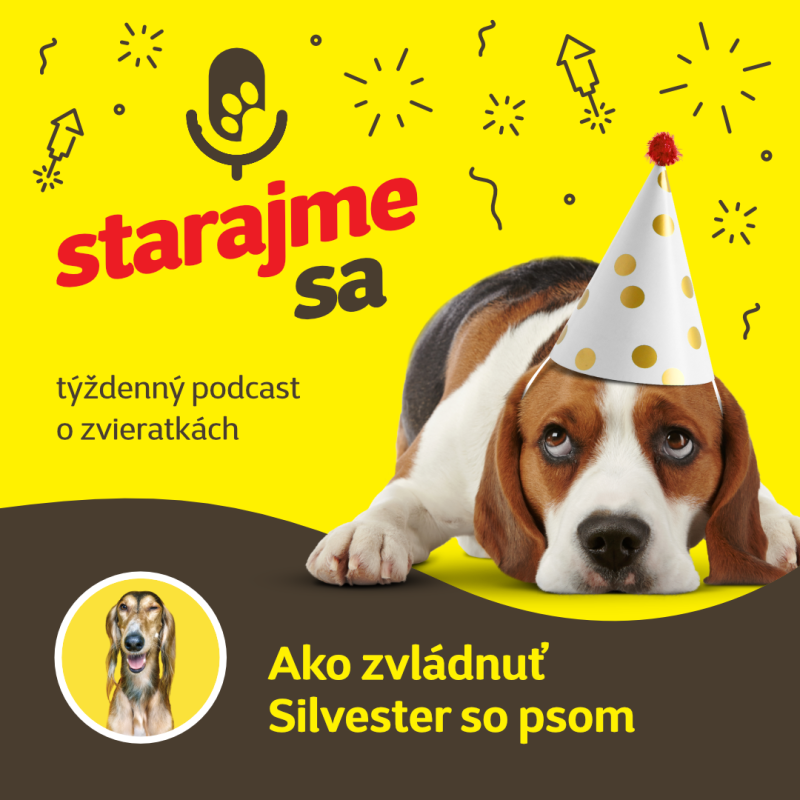 Obrázek epizody Psy: Ako zvládnuť Silvester so psom