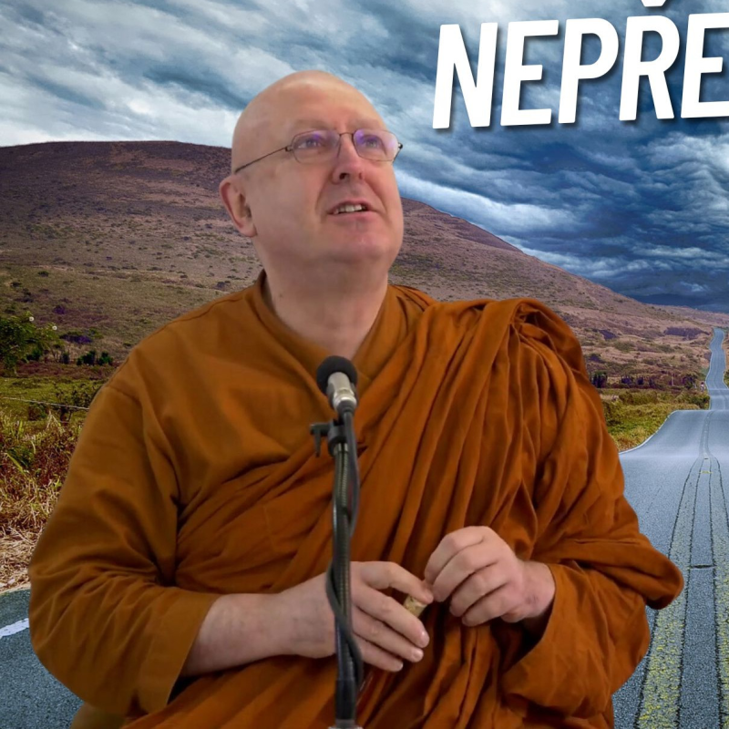Obrázek epizody Nepředvídatelnost života - jak si poradit | Ajahn Brahm | 15.7.2011