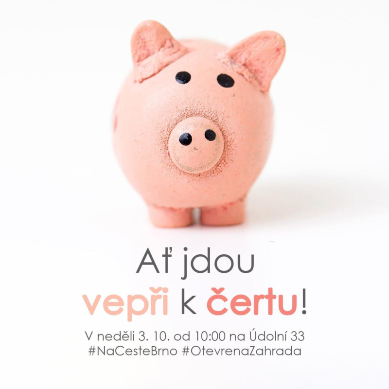 Obrázek epizody 20|10|04 | Václav Kadlec | Ať jdou vepři k čertu!