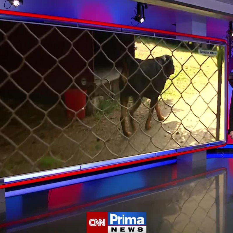 Obrázek epizody Pokousané dítě (zdroj: CNN Prima NEWS)