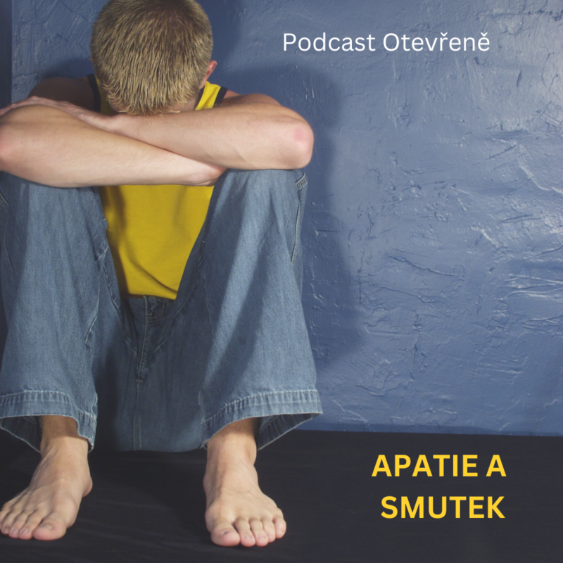 Obrázek epizody #27 - O apatii a smutku