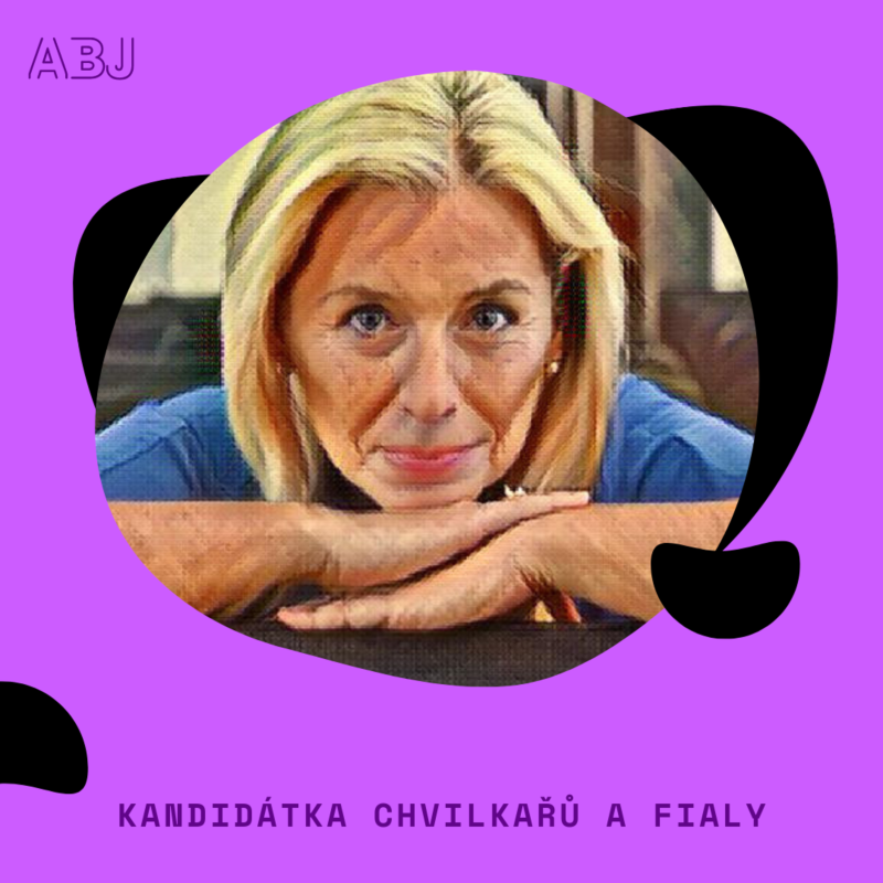 Obrázek epizody Kandidátka chvilkařů a Fialy