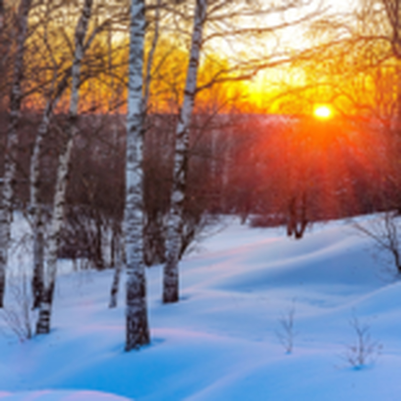 Obrázek epizody HOROSKOPY: Blíženci, stojíte na prahu změn. V osobním životě je důležité ochránit to, co máte