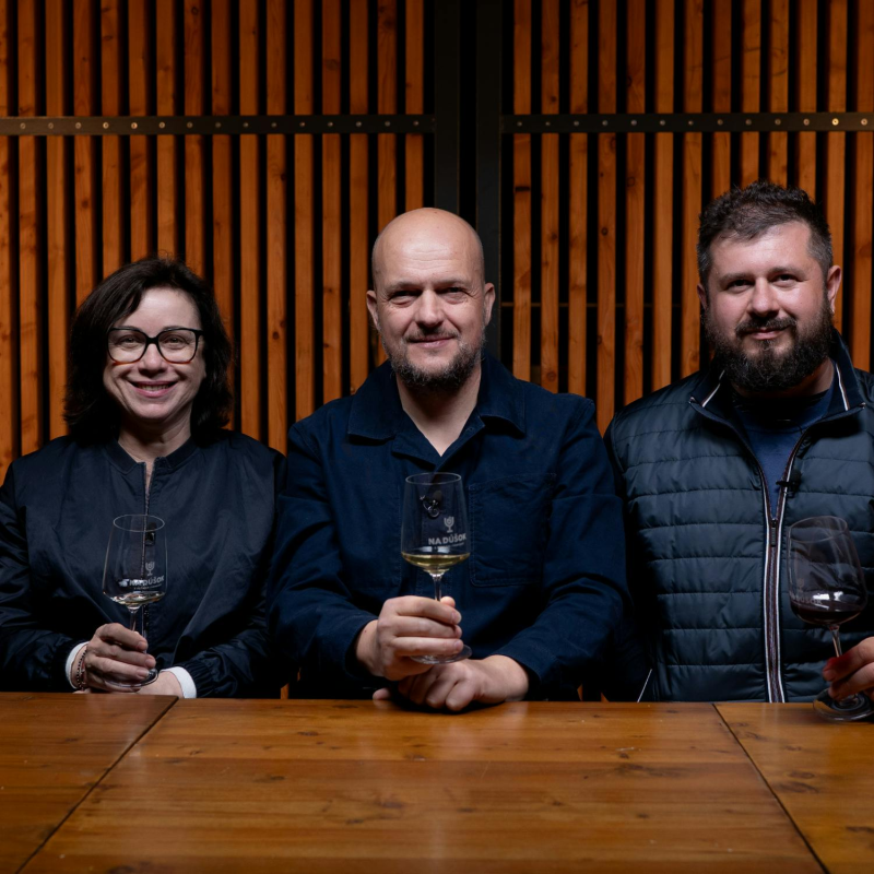 Obrázek epizody 106 - Vinárska séria: KNĚŽÍ HORA (CZ)