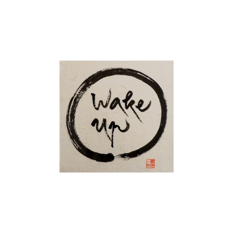 Obrázek epizody 72. Thich Nhat Hanh – Probuď se