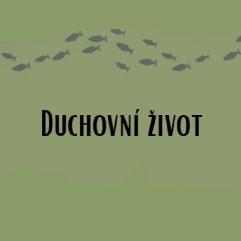 Obrázek epizody Duchovní dary - David Bubík 7.6.2026 CBH Chomutov