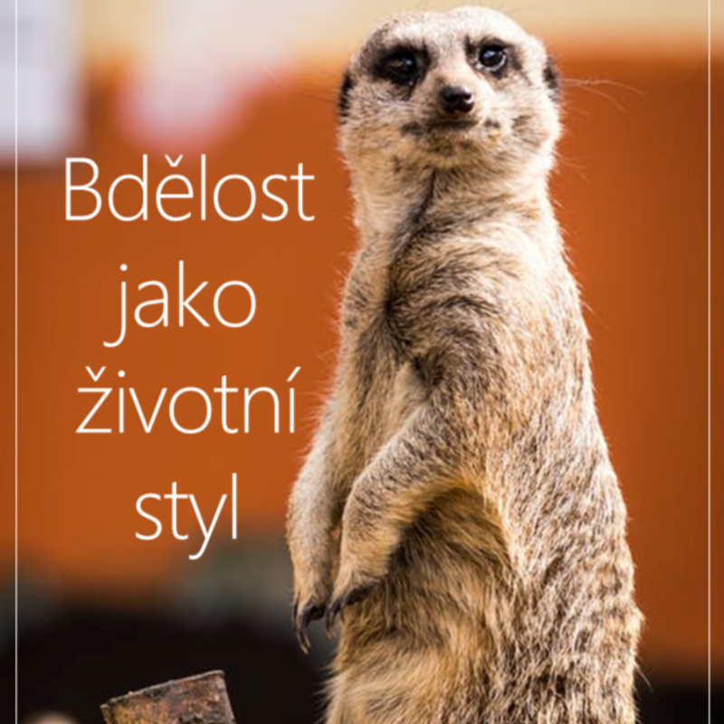 Obrázek epizody Bdělost jako životní styl