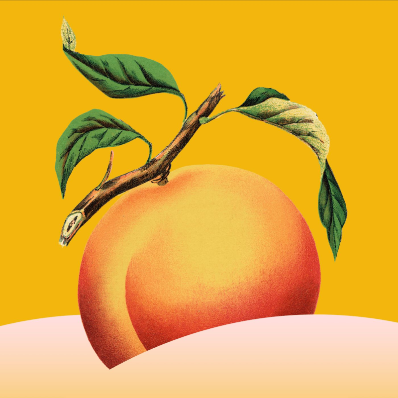 Obrázek epizody Butt Stuff