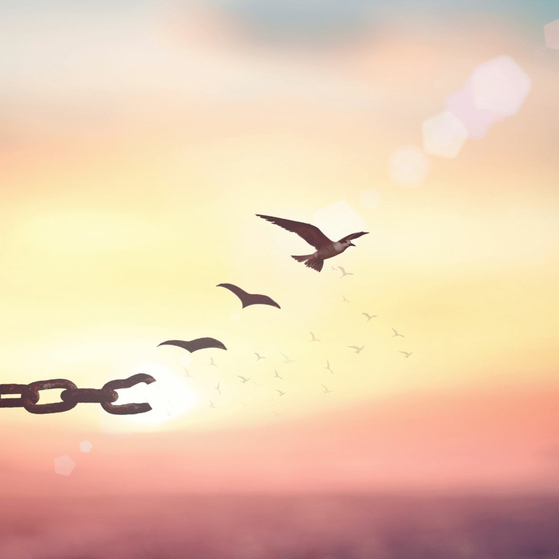 Obrázek epizody Vědomé odpuštění sám sobě