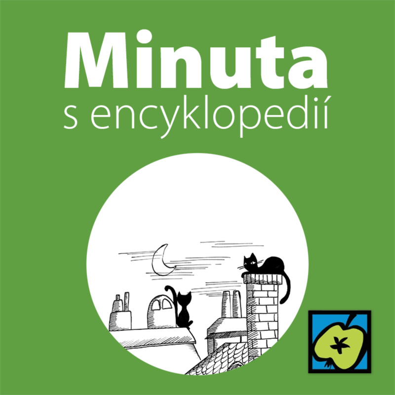 Obrázek epizody Komín