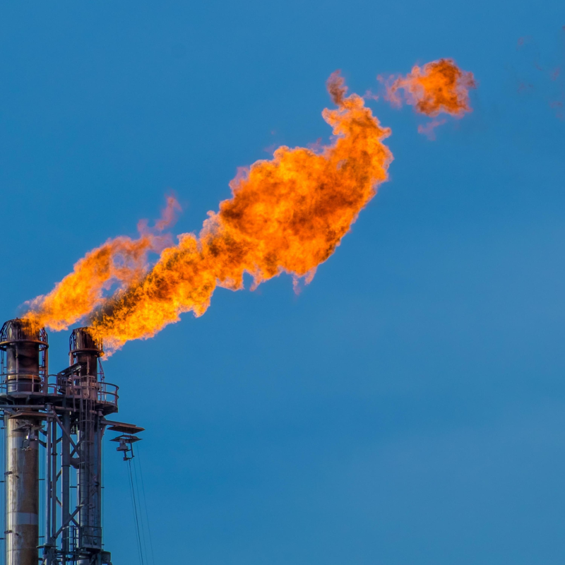 Obrázek epizody There’s a quick way to slow climate change. Why isn’t everyone doing it?