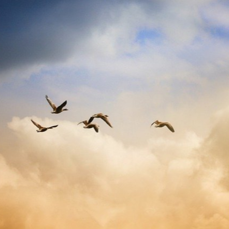 Obrázek epizody Modlitba online pravda vás osvobodí 31032020 CZ