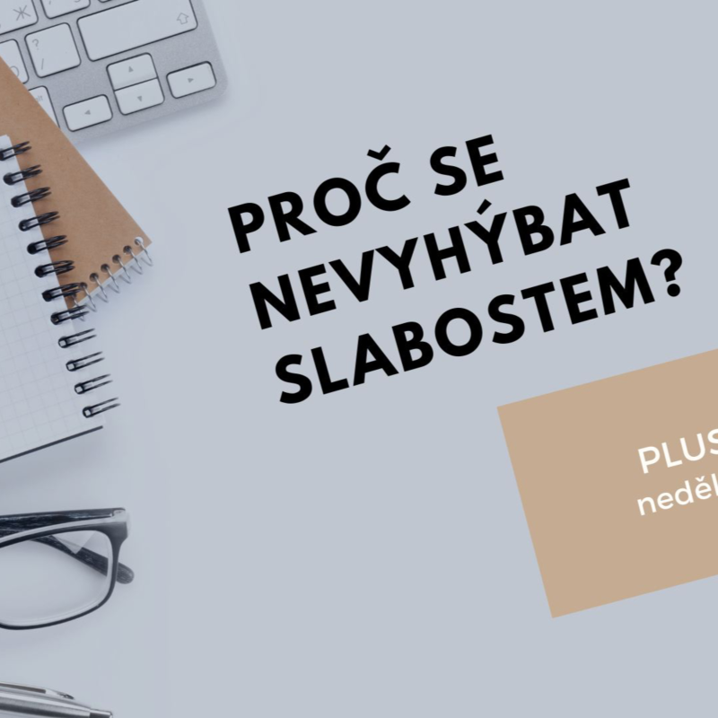 Obrázek epizody Proč se nevyhýbat slabostem?