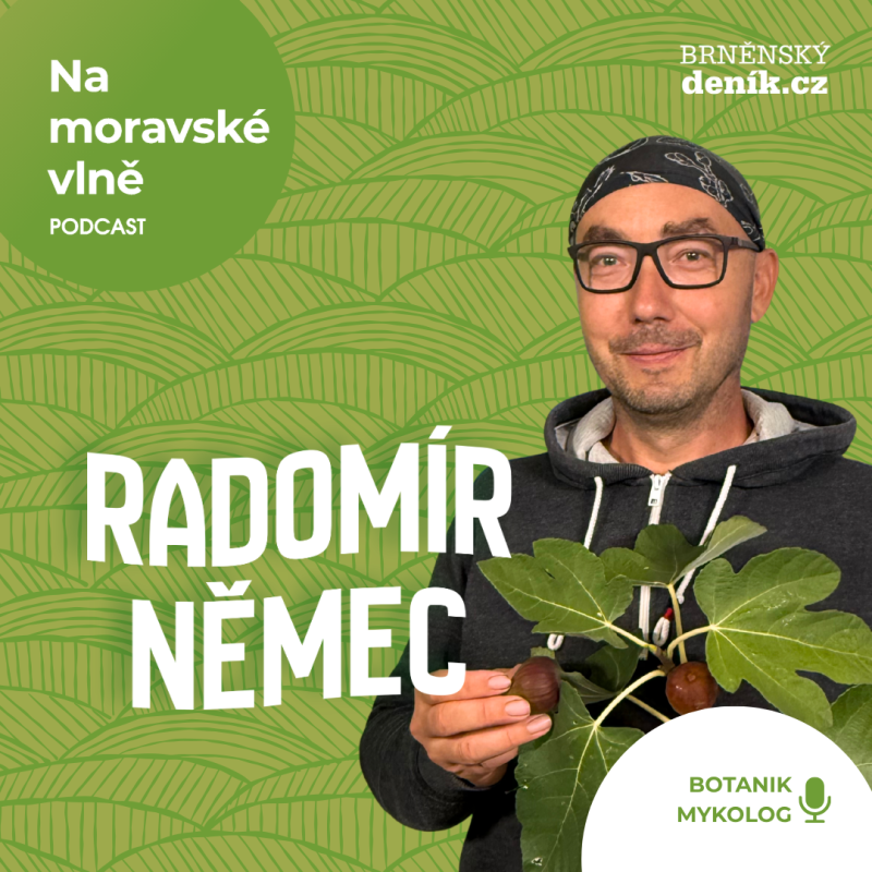 Obrázek epizody Na moravské vlně 4: Divoké gastro Radomíra Němce