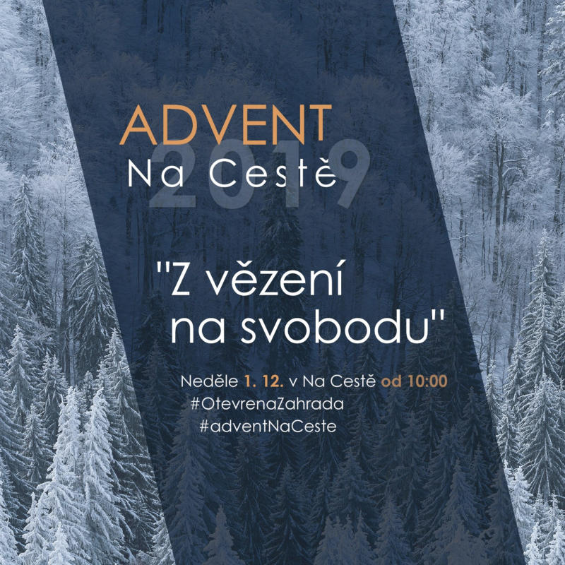 Obrázek epizody 19|12|01 | Pavel Popovič | Z vězení na svobodu