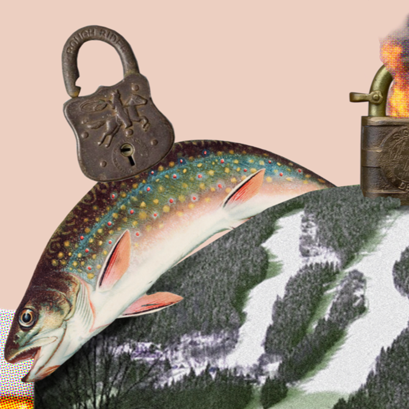 Obrázek epizody #15 FinCENFiles 3: Pán jihočeských zámků