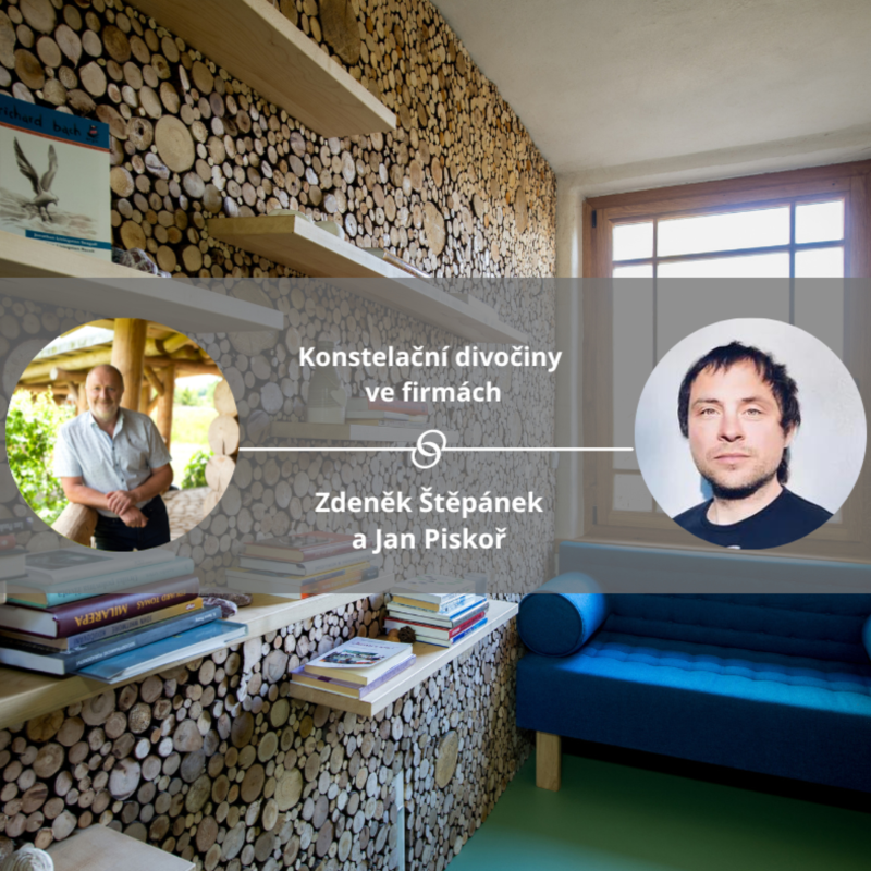 Obrázek epizody Konstelační divočiny ve firmách. #koucinkakademie