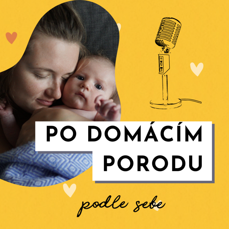 Obrázek epizody Po domácím porodu (sdílení a praktické zkušenosti)