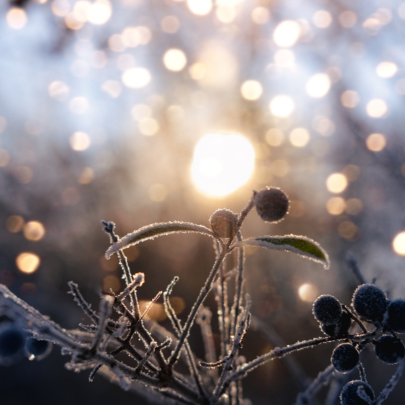 Obrázek epizody Uzavření roku | Pusť staré a stanov záměr pro nový rok (vedená meditace)