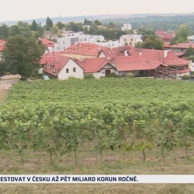 Obrázek epizody Bude dražší české víno? (zdroj: CNN Prima NEWS)