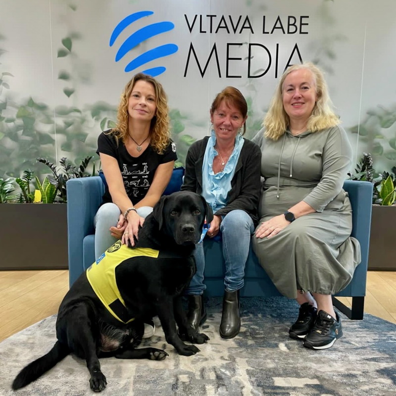 Obrázek epizody Pomocné tlapky: Pes Garp vrátil týrané Adrianě jistotu, svobodu i ztracený klid