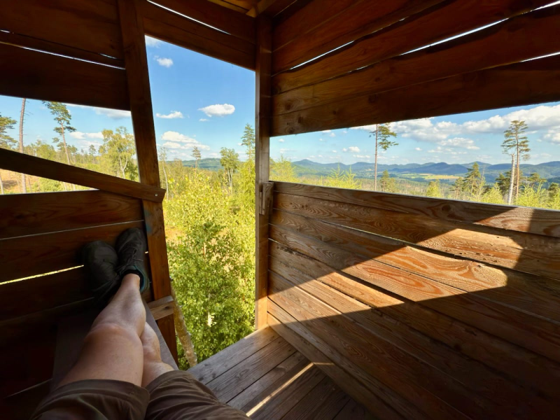 Obrázek epizody Zprávy z lesa #119 🔥