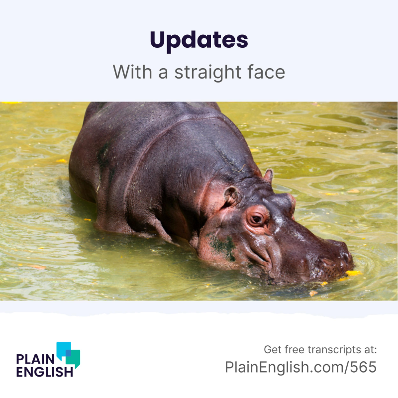 Obrázek epizody Updates on Chile, hippos, TikTok and more | Learn English expression 'with a straight face'