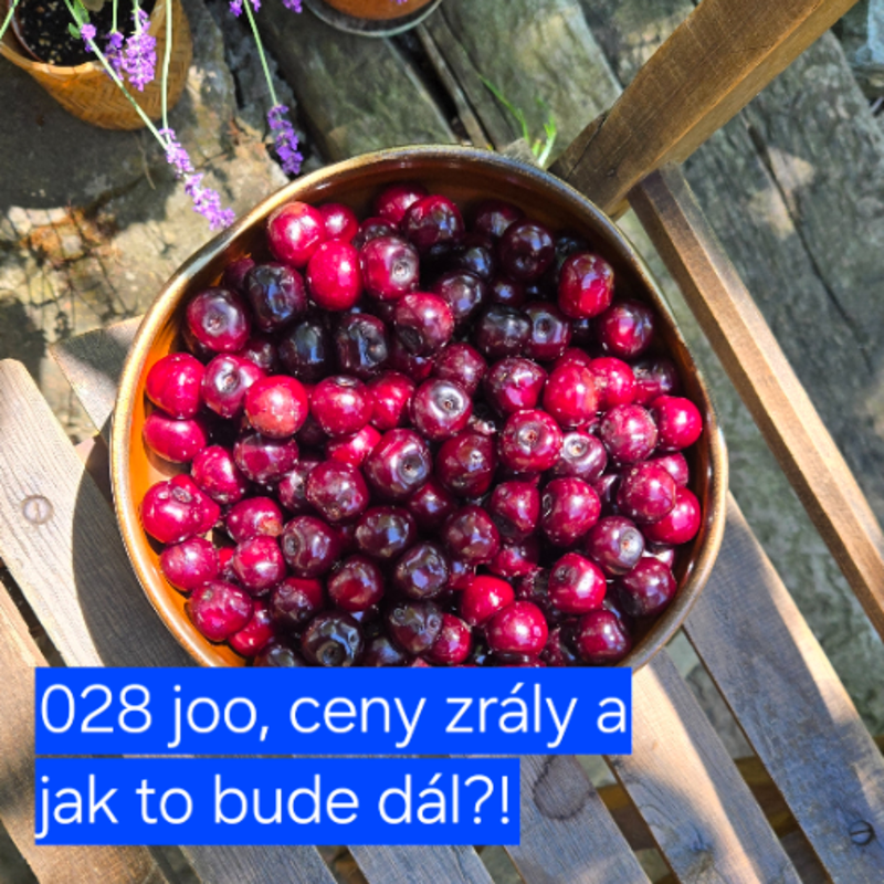 Obrázek epizody 028 joo, ceny zrály a jak to bude dál?!