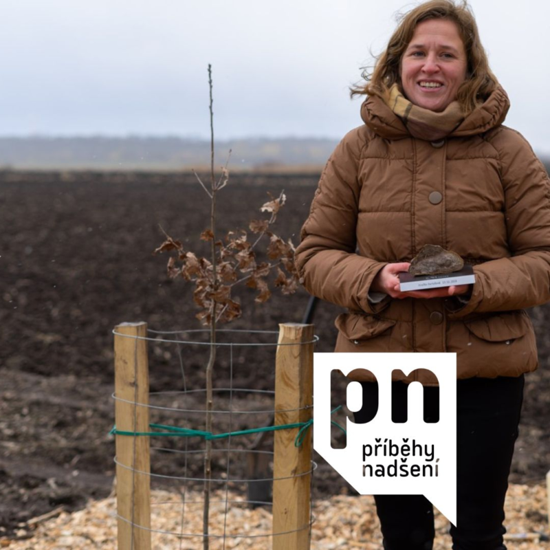 Obrázek epizody 6. Jak a proč chránit lužní lesy