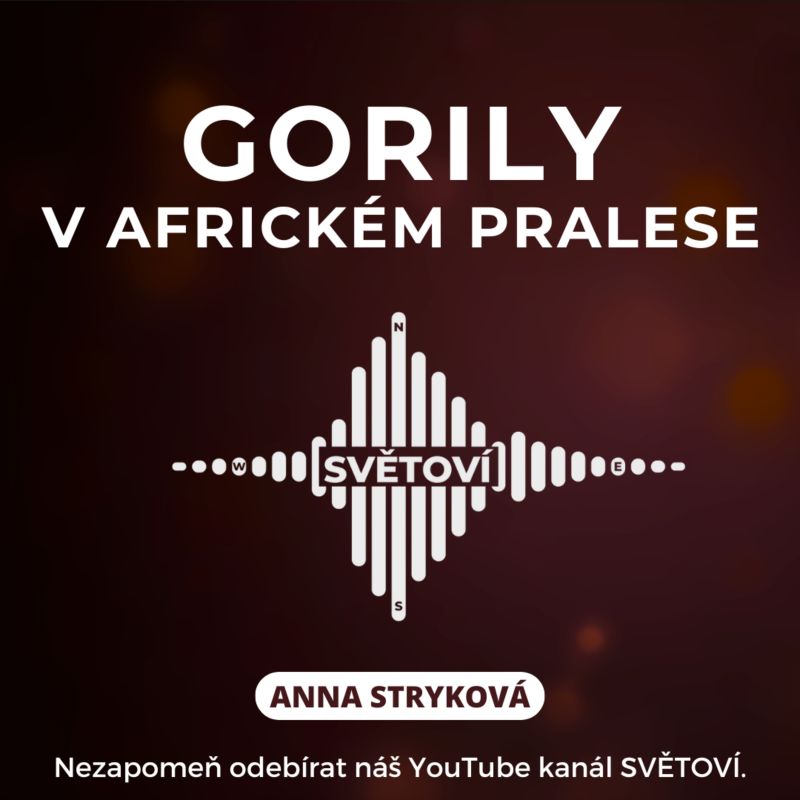 Obrázek epizody #69 Gorily v africkém pralese | Anna Stryková