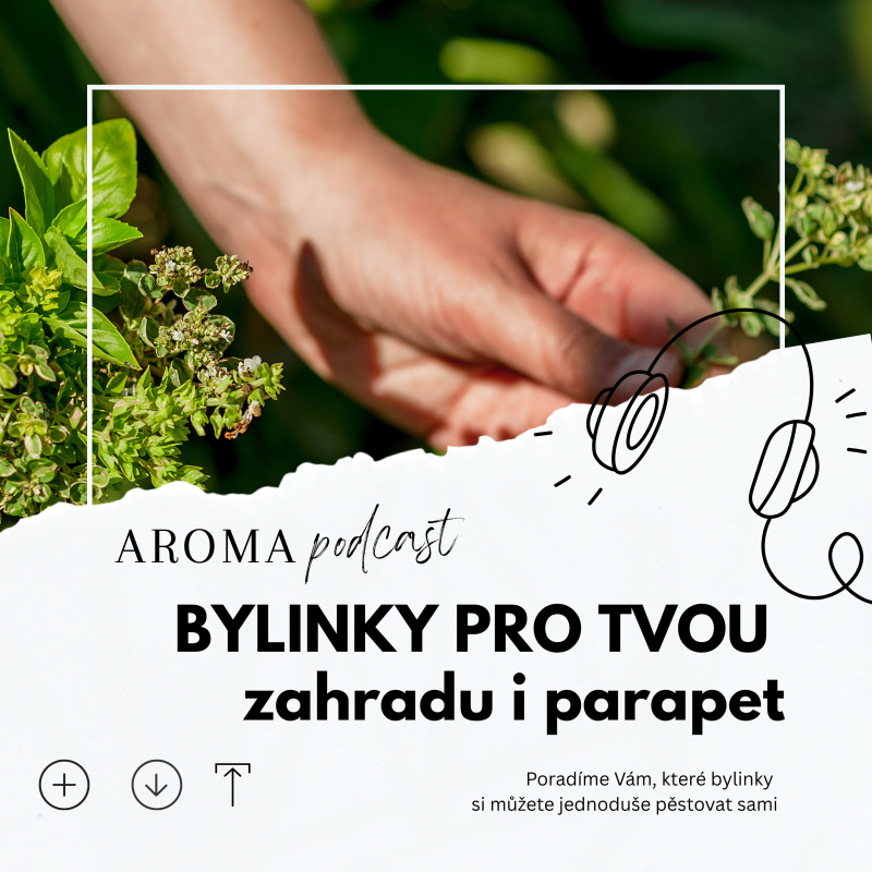 Obrázek epizody #009 Bylinky do zahrady i na parapet