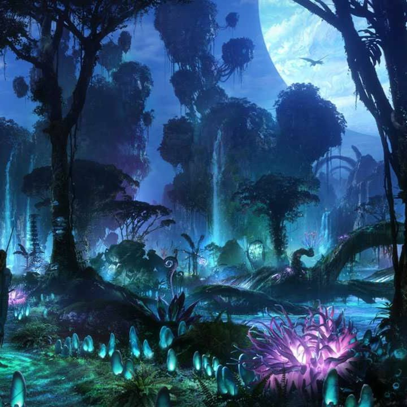 Obrázek epizody Naavi