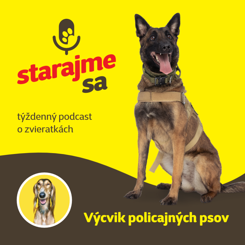 Obrázek epizody Psy: výcvik policajných psov