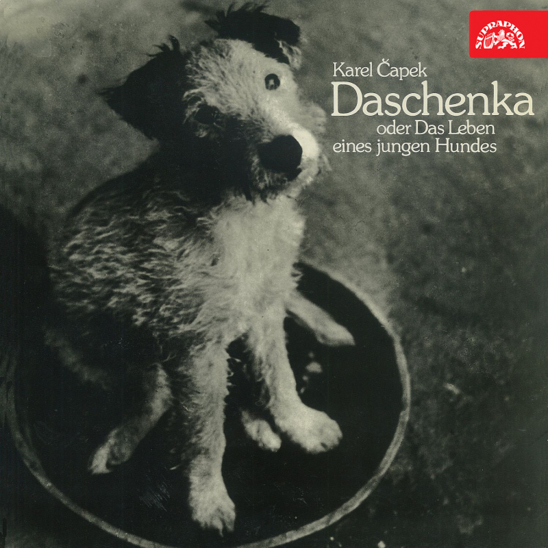 Obrázek epizody Daschenka oder das Leben eines jungen Hundes (Dášenka čili život štěněte)