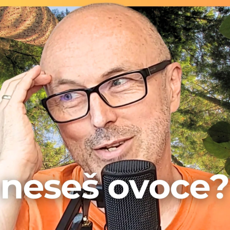 Obrázek epizody Život člověka jako růst a zrání stromu
