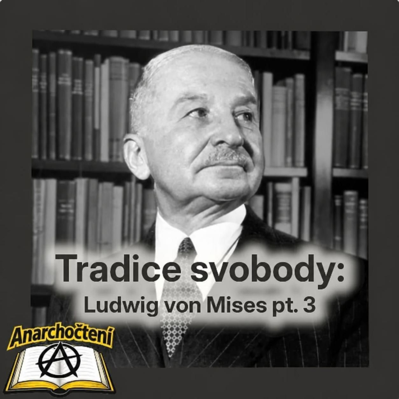Obrázek epizody Ekonomická kalkulace 💛 ANARCHOČTENÍ 08 💛