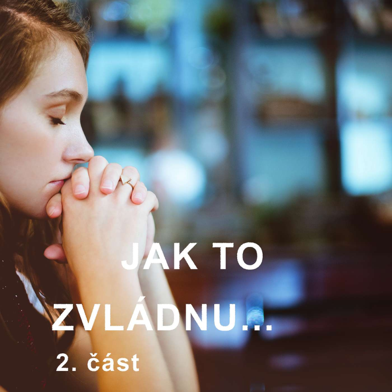 Obrázek epizody JAK TO ZVLÁDNEME...? 2. část