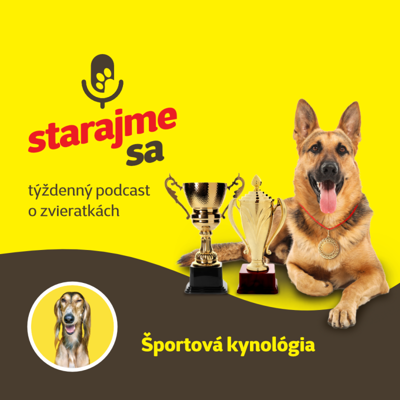 Obrázek epizody Psy: Športová kynológia