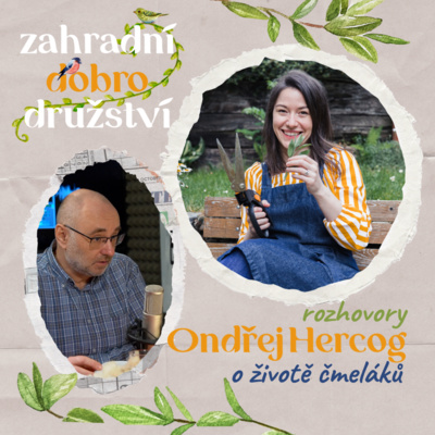 Obrázek epizody #3 Ondřej Hercog ze spolku Čmeláci PLUS – o fascinujícím životě čmeláků