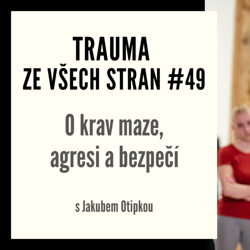 Obrázek epizody Trauma ze všech stran #49 - O krav maze, agresi a bezpečí s Jakubem Otipkou