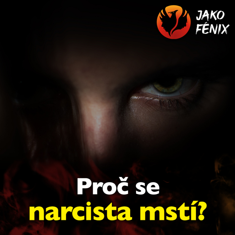 Obrázek epizody Proč se narcista mstí?
