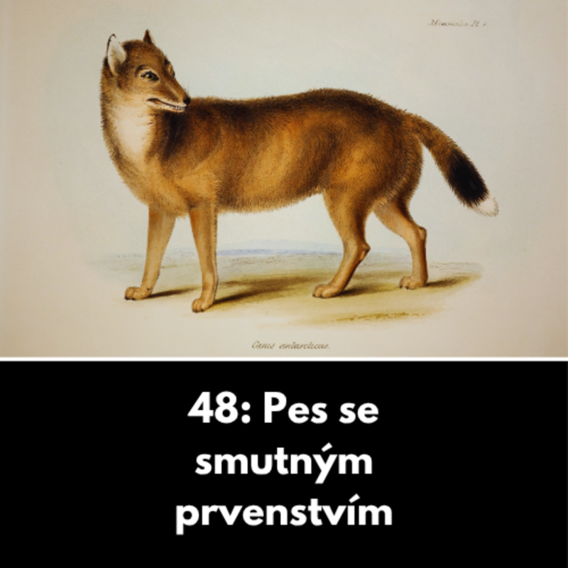Obrázek epizody 48: Pes se smutným prvenstvím