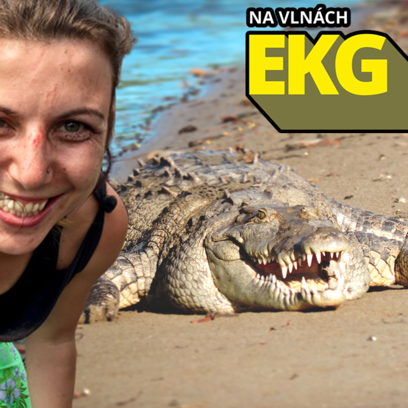 Obrázek epizody Pokusila se spáchat sebevraždu v Nikaragui. Proč se jí to nepovedlo? 🐊